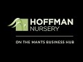 Hoffman nursery on the mants business hub