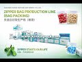 Full Automatic Zipper Bag Line with Packing | Save Labor, Boost Output 吹膜·印刷·制袋·包装 一站式整线方案