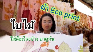 ผ้า Eco print ใบไม้ให้สีอะไร มาดูกัน