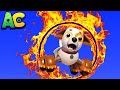 АнимаКары - СОБАКА ТОРЧ прыгает сквозь ОГНЕННЫЙ ОБРУЧ! - детские мультфильмы с машинами и животными