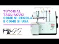 Tutorial Tagliacuci - Come si Regola e Usa correttamente la Macchina Tagliacuci | gdgdelgiudice.it