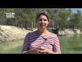 Australia Institute short documentary on the Murray Darling Basin