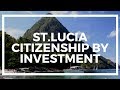 St. Lucia Citizenship by investment: Pros and cons