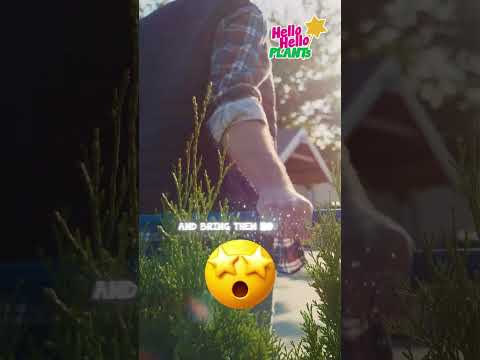 𝗣𝗟𝗔𝗡𝗧𝗘𝗗 𝟱𝟬 𝗬𝗘𝗔𝗥𝗦 𝗔𝗚𝗢… 𝗦𝗧𝗜𝗟𝗟 𝗧𝗛𝗥𝗜𝗩𝗜𝗡𝗚 🌳✨