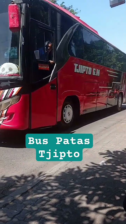 bus Tjipto bus patas #bus #busmania #bustjipto