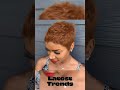 Short Pixie Human Hair Wig
