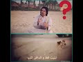 انظر الا انسانيو العيون المية قط ول دافن كلب انظر الا انسانيو العيون المية قط ول دافن كلب