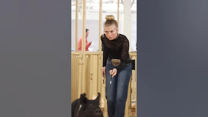 Karis in Hog showmanship day 1 at Cow Palace! #showpigs #showpig #livestockshow