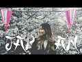 Travel Vlog: Taking Tokyo: Japan Cherry Blossoms | HAUSOFCOLOR