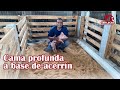 Cama profunda para cría de cerdos | Medidas y materiales | Granja San Lucas