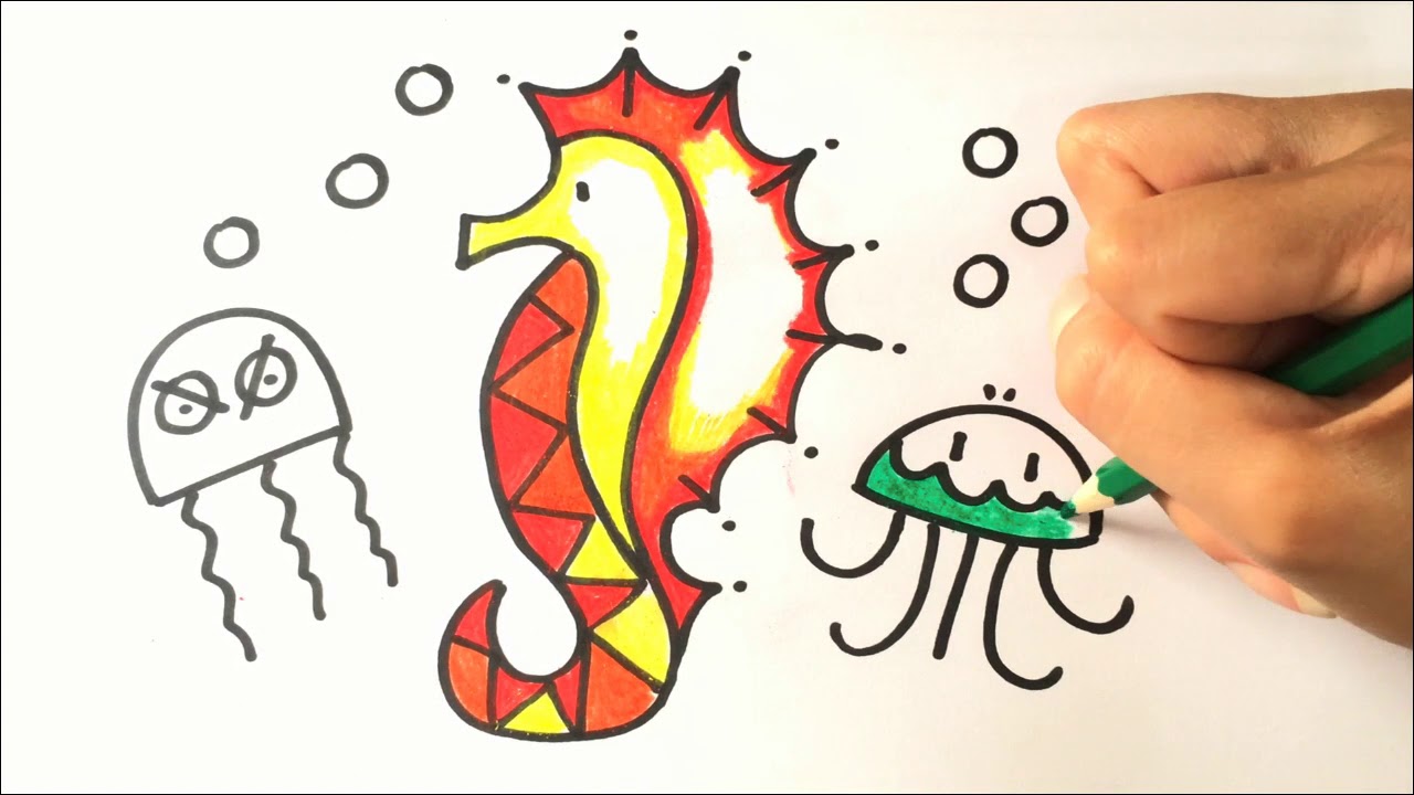  Belajar  Gambar untuk  Anak  Menggambar  Kuda Laut YouTube