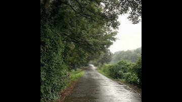 سورة العصر ياسر الدوسري