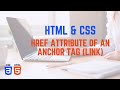 Href Attribute of an Anchor Tag (Link)