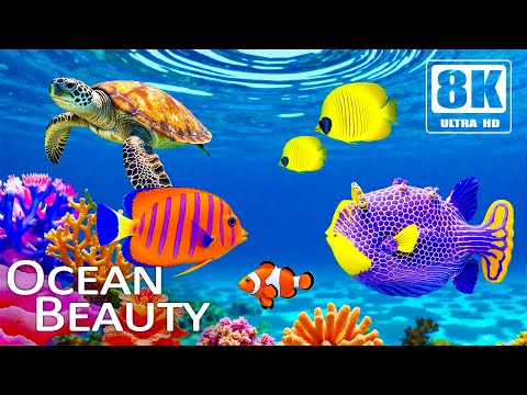 OCEAN DREAMSCAPE 8K Colorful Marine Life Vibrant Coral Reefs Soothing Sea Music For Relaxation