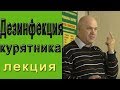 Как правильно делать дезинфекцию курятника