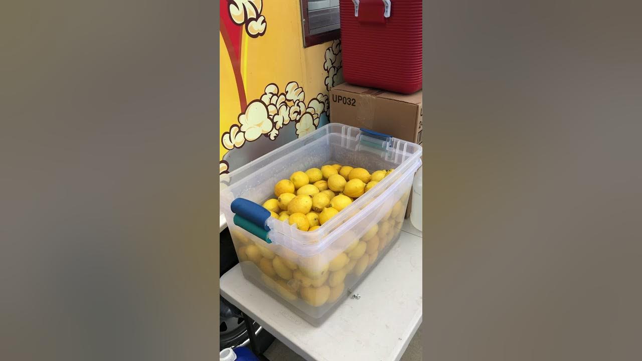 Kettle Corn and Lemonade Trailer YouTube