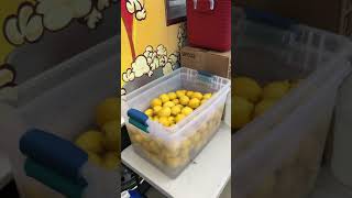 Kettle Corn and Lemonade Trailer