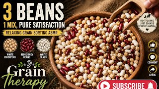 White Chickpeas, Red Kidney Beans & White Beans Sorting ASMR 🌾 | Relaxing Grain Sounds | No Talking