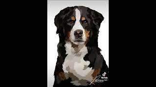 Dog Vector using ibispaint #dogart #vectorart #ibispaintx