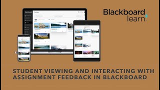 Student Viewing Teacher Feedback on Blackboard Assignments