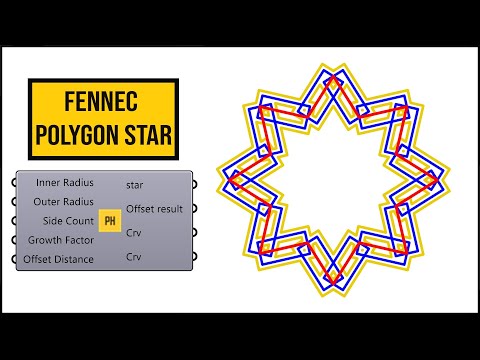 Grasshopper Fennec (Polygon Star)