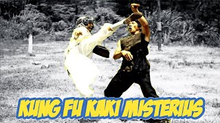 Mysterious Footwork Of Kung Fu (Kung Fu Kaki Misterius) - NFG Channel