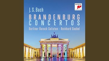 Brandenburg Concerto No. 6 in B-Flat Major, BWV 1051: III. Allegro