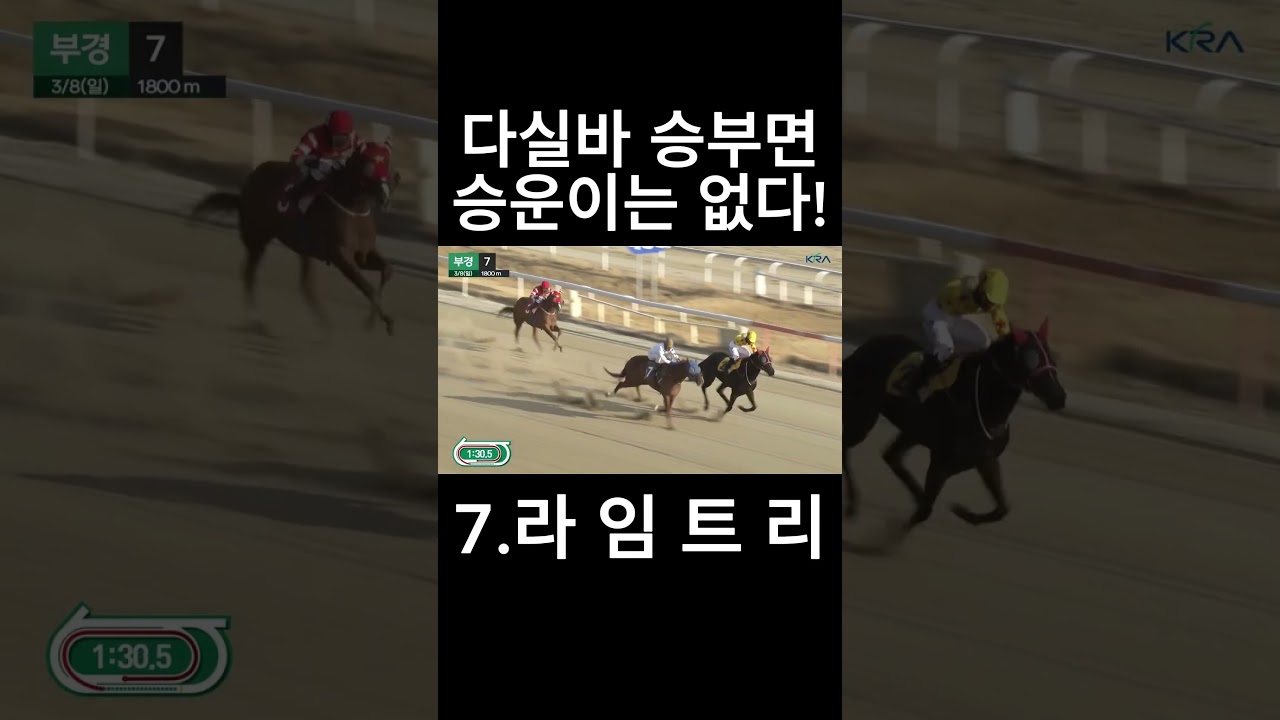 다실바 승부면 승운이는??  #경마  #경마예상  #경마방송  #경마예상방송  #서울경마  #금요경마  #토요경마  #일요경마 #경마장