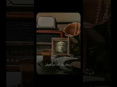 رفقا بقلوبنا يا منشاوي