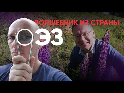 Волшебник страны ОЭЗ