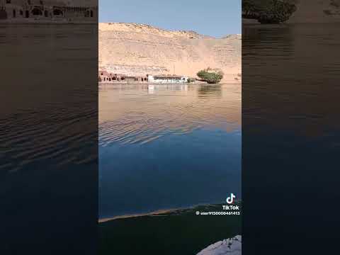 لو كنا بنختار