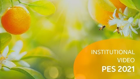 [INSTITUTIONAL VIDEO] - ORANGE CROP FORECAST (2021) - english