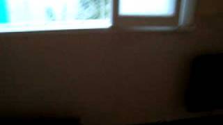 Imagen 047