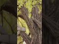Cinematic Cross Scene ✨| Unreal engine + Da Vinci Resolve #animation #cinematic #unrealengine