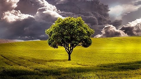 Photoshop Tutorial  Photo Manipulation Change Background & Blending TJ