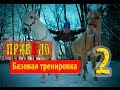 Тренажёр ПравИло Базовая тренировка Часть 2