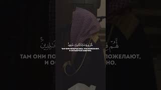 Сура 25 Аль-Фуркан (15-16). Мухаммад аль-Люхайдан