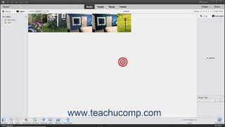 Photoshop Elements 2021 Tutorial Back Up and Restore a Catalog Adobe Training