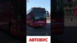 Автобус - городской транспорт #автобус