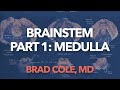 Brain Stem, part 1, Medulla