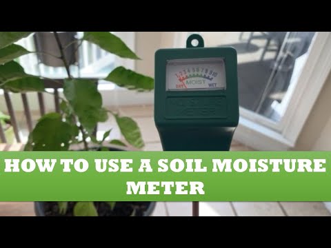 How to Use a Soil Moisture Meter with Pepper Plants