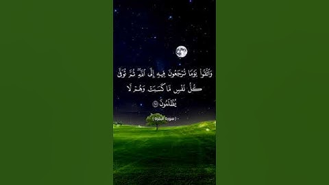 واتقوا يوماً ترجعون فيه إلى الله/بصوت أبي المنتصر/تلاوة خاشعة||حالات واتس اب قرآن/#سوره_البقره