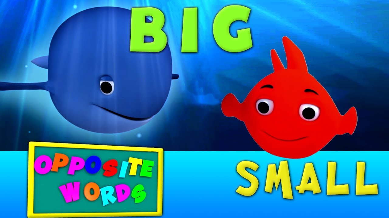 opposée Chanson | Apprendre les mots opposés | éducative Chanson | Opposite songs For Kids