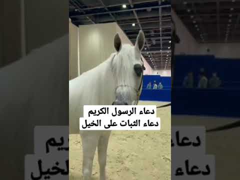 دعاء الثبات على الخيل من أدعية الرسول صل الله عليه وسلم 