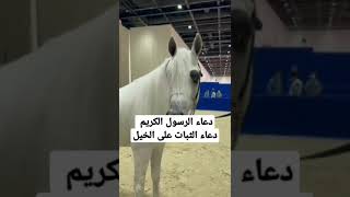 دعاء الثبات على الخيل من أدعية الرسول صل الله عليه وسلم