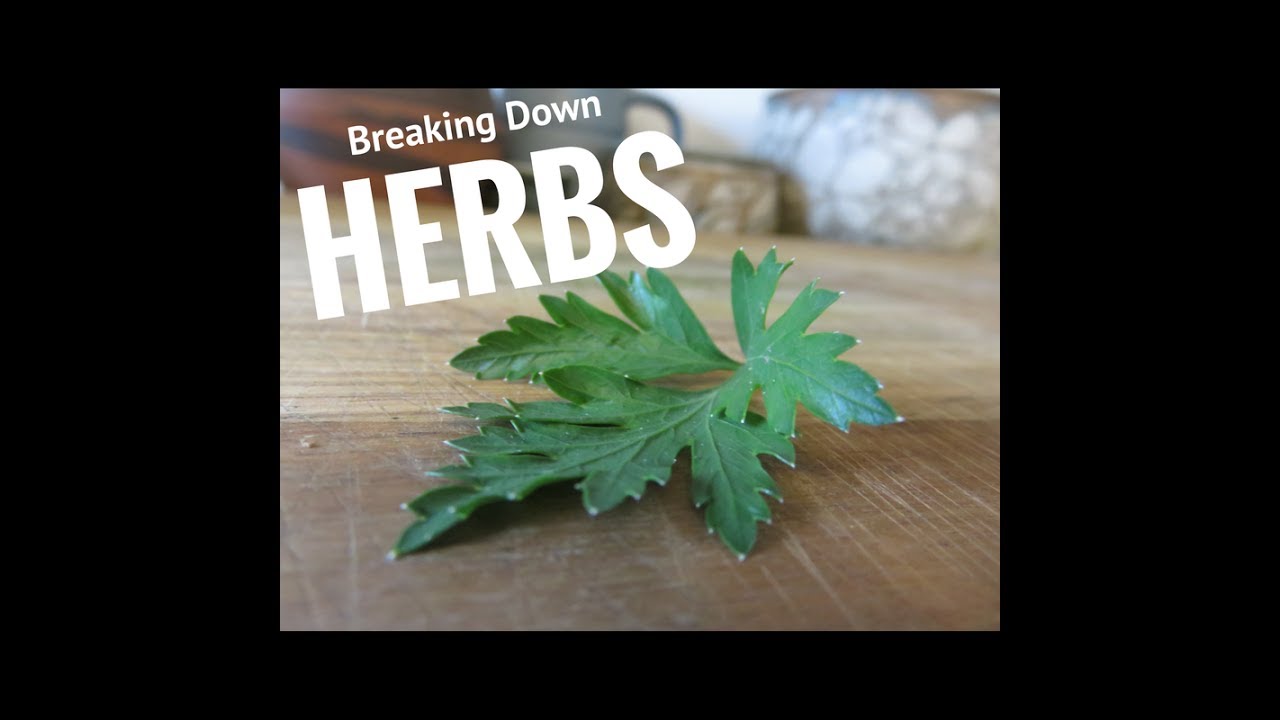 basil chicken Breaking Down Herbs