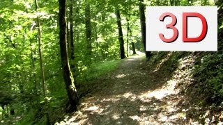 3D WALKING with Music #3 (ambient)