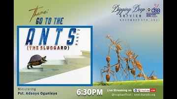 GO TO THE ANT PT 2 | THE SLUGGARD | PASTOR ADEOYE OGUNLEYE | DIGGING DEEP 9TH  NOVEMBER 2021 |