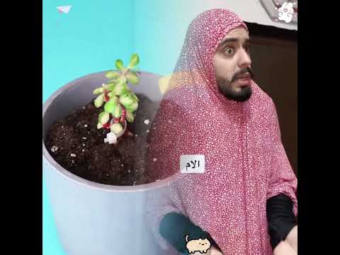     نعيش نفس الحياة لكن نرىها بطرق مختلفة