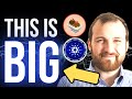 CARDANO ECOSYSTEM REVEALED! (SundaeSwap ISO And More)